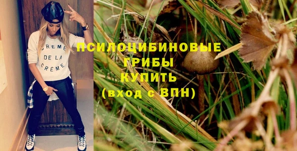 стаф Алексеевка