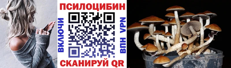 магазин  наркотиков  Оленегорск  Псилоцибиновые грибы MAGIC MUSHROOMS 